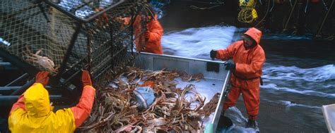 alaska fishing jobs|Fisheries Jobs, Employment in Alaska .